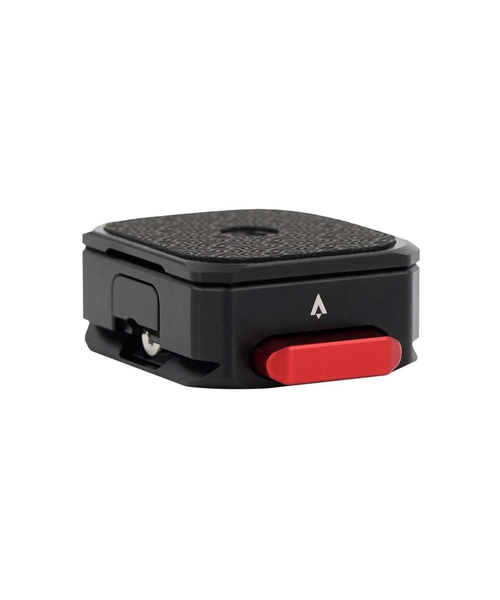 Exascend Disc portàtil SSD Gecko 4TB